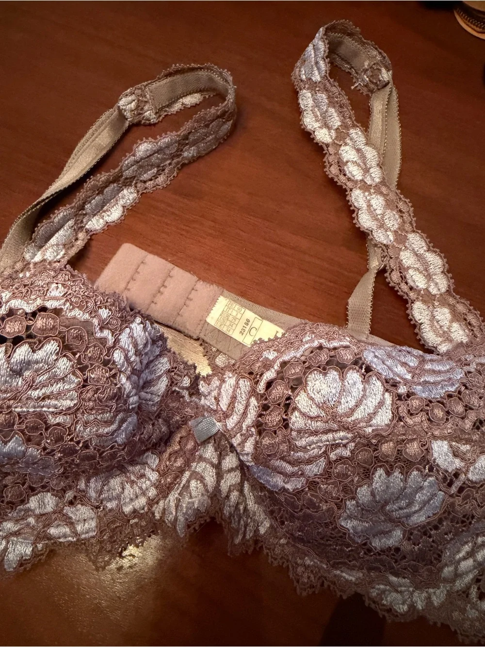 Lise Charmel French Floral Lace Underwire Bra & Brief Set in Taupe and light blu